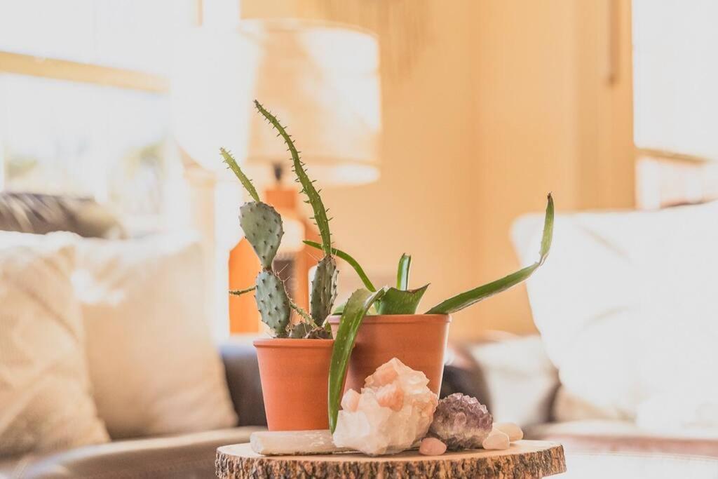 Pioneertown Near Pappy & Harriet'S + Rimrock Ranch W/ Hot Tubヴィラ エクステリア 写真